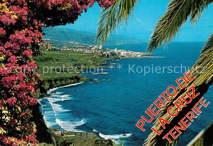 Puerto de la Cruz Vista de la Costa Norte Kuestenpanorama Palmen