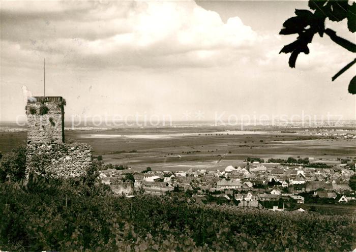 Wachenheim Weinstrasse Landschaftspanorama Blick von der Wachtenburg