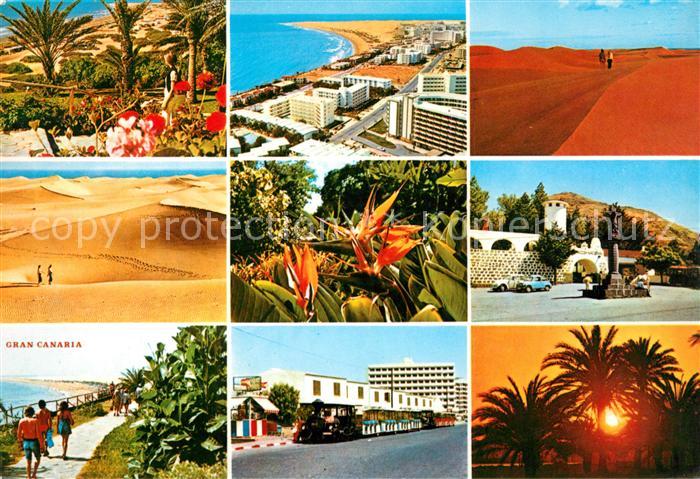 Gran Canaria Impressionen Kanarische Inseln Palmen Wuestenlandschaft Strand