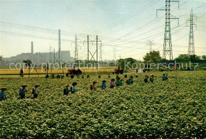 Shanghai Rural area of the city Feldarbeiter