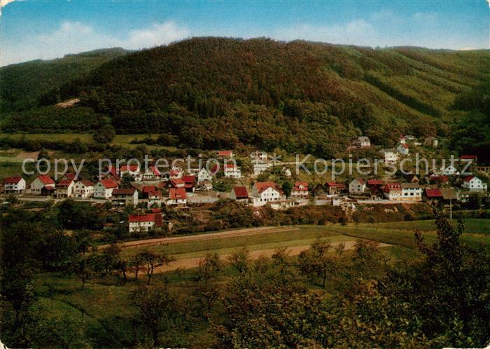 Langenthal Odenwald Panorama