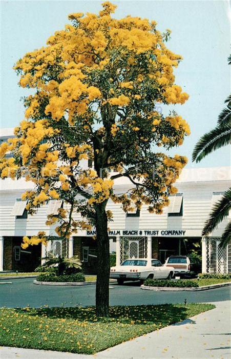 Palm Beach Bank of Palm Beach Trust Company