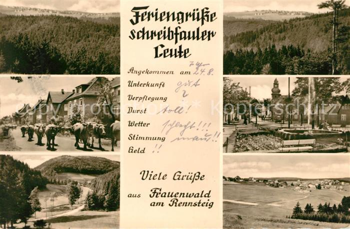 Frauenwald Thueringen Kuhherde Springbrunnen Panoramen