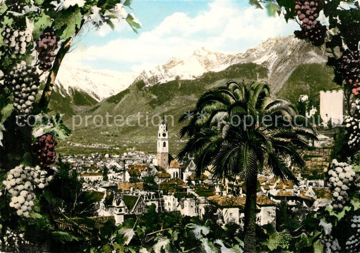 Merano Meran Panorama