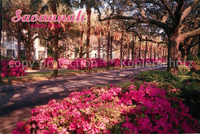 Savannah Georgia Victory Drive