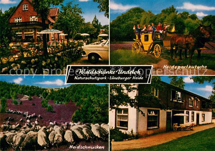Undeloh Waldschaenke Heidepostkutsche Heidschnucken