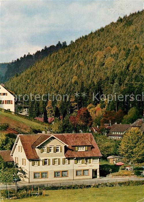 Schoenmuenzach Pension Frey