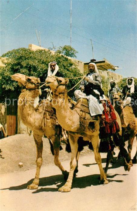 Beersheba Beduinen auf Kamele