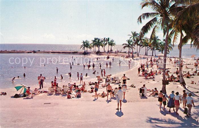 Miami Florida Strand Matheson Hammock