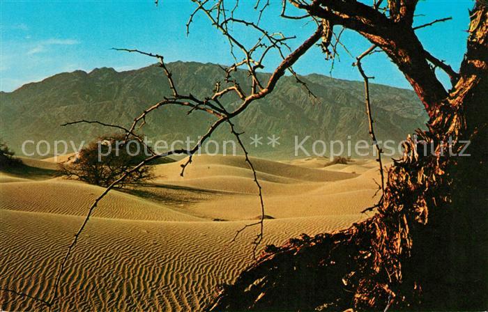 Death Valley Sanddünen