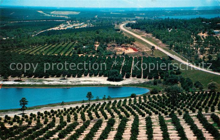 Orlando Florida Citrus Tower