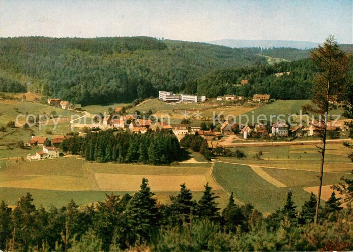Gras-Ellenbach Panorama