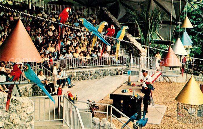 Miami Florida Parrot Jungle Parrot Bowl Jungle Island Park