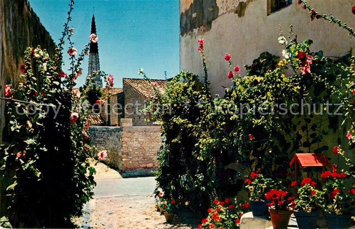 Ile de Re Une jolie venelle en fleurs