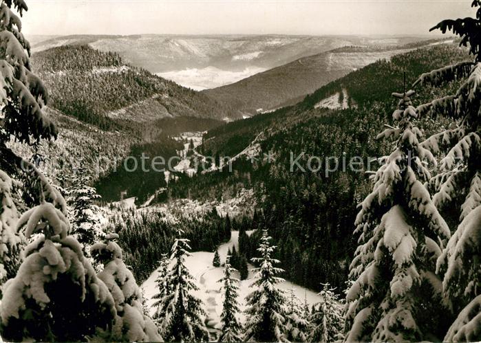 Lamm Kniebis Landschaftspanorama Schwarzwald