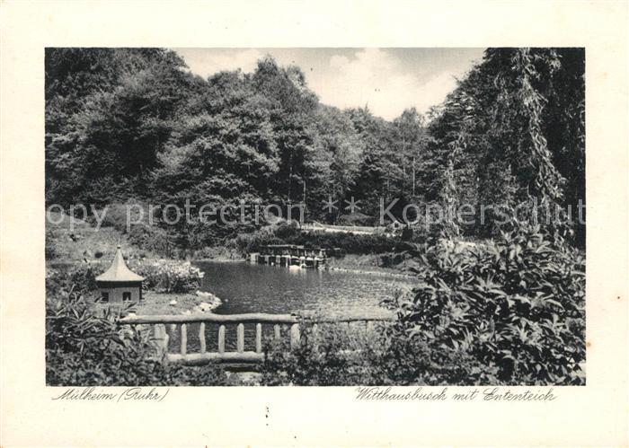 Muelheim Ruhr Witthausbusch Ententeich