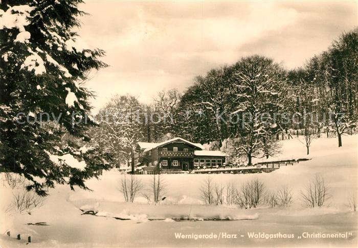 Wernigerode Harz Waldgasthaus Christianental Winterlandschaft
