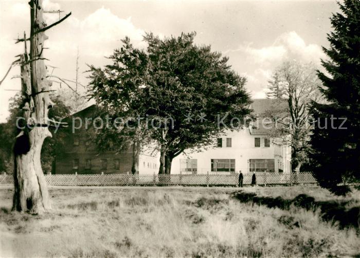 Friedrichroda Hotel Berggasthof Tanzbuche