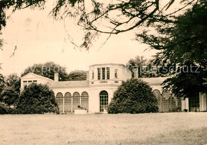 Putbus Ruegen Orangerie