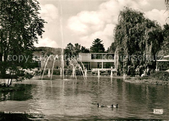 Bad Godesberg Stadthalle Teich Fontaene Wasservoegel