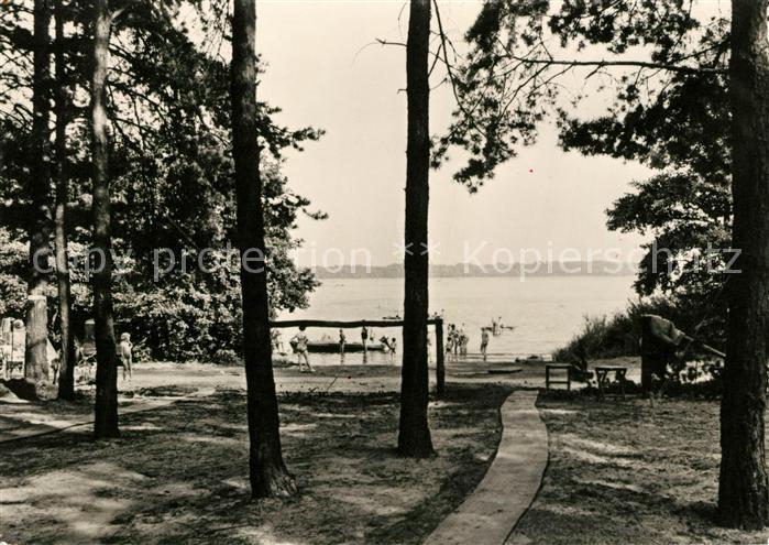 Zaue Badestrand am Schwielochsee