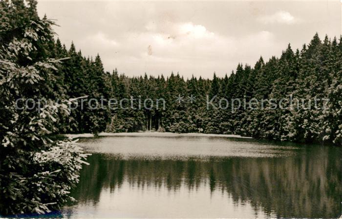 Braunlage Silberteich Natur