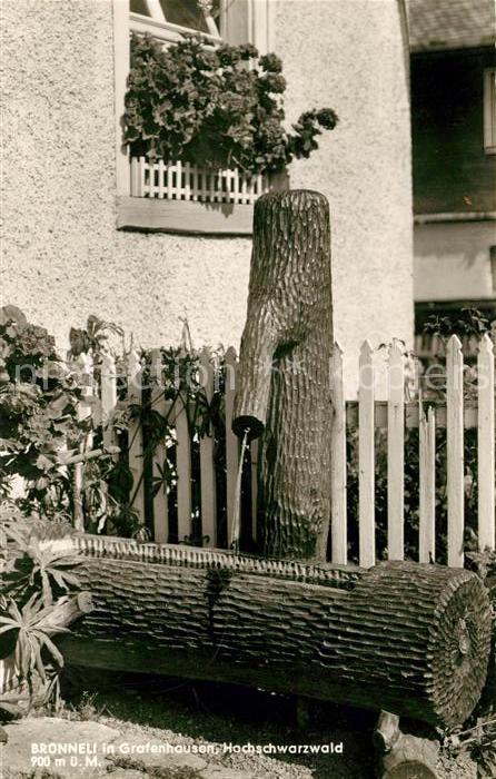 Grafenhausen Schwarzwald Bruenneli Holzbrunnen