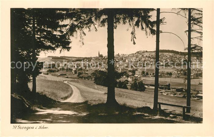 St Georgen Schwarzwald Panorama Blick vom Waldrand aus Chamois Buetten