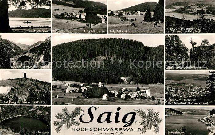 Saig Schwarzwald Titisee Panorama Hochfirst Feldberg Hoellental Ravennabruecke F