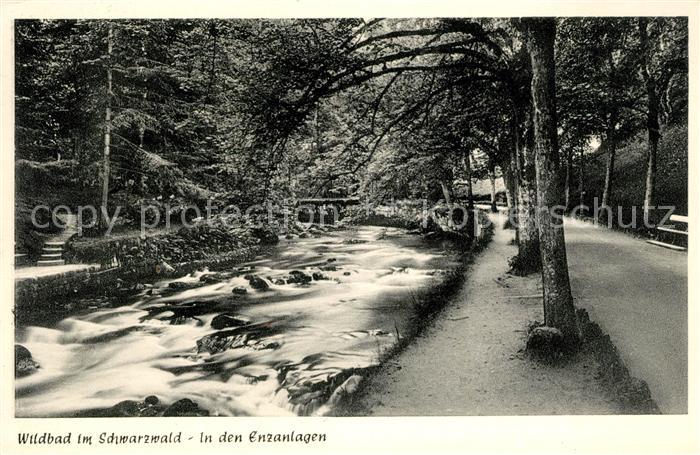 Wildbad Schwarzwald Partie in den Enzanlagen