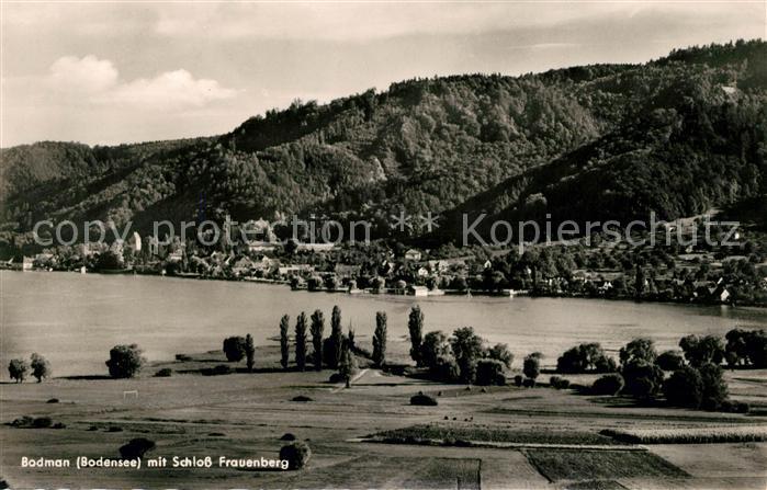 Bodman Bodensee Panorama mit Schloss Frauenberg Fliegeraufnahme