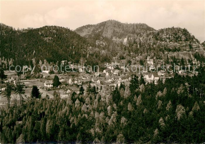 Oybin Sachsen Panorama mit Berg Oybin und Ameisenberg Zittauer Gebirge Fliegerau