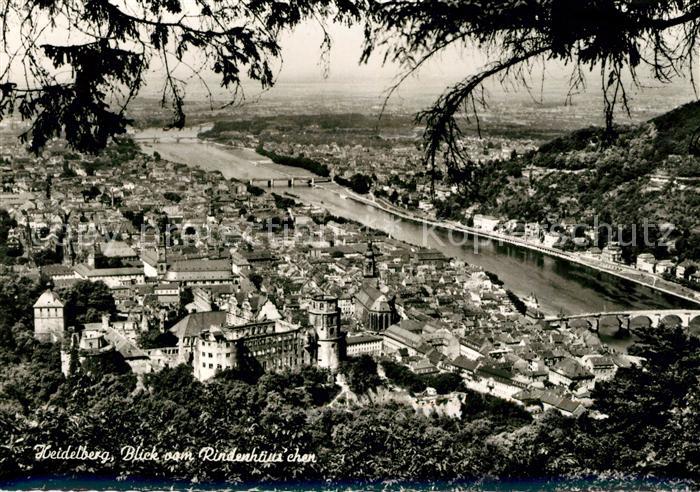 Heidelberg Neckar Panorama Blick vom Rindenhaeuschen