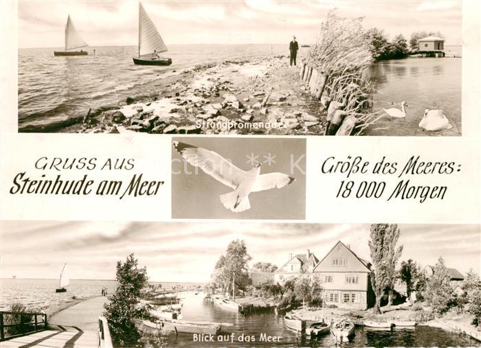 Steinhude Strandpromenade Segelboot Moewe Schwaene