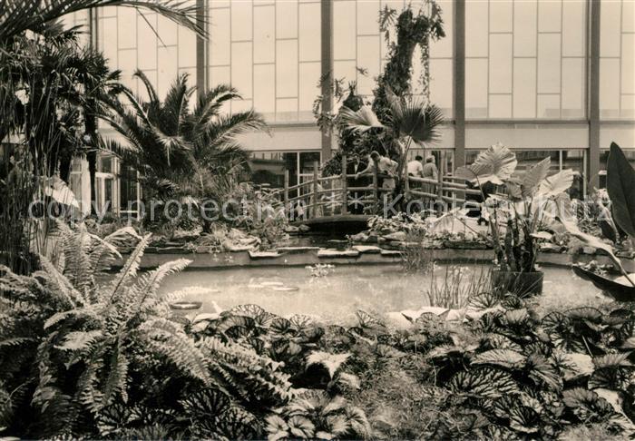 BERLIN  CITY Tierpark Tropenhalle im Alfred Brehm Haus