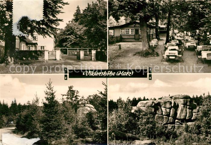 Viktorshoehe Berggaststaette Ferienheim Grosse Teufelsmuehle Felsen Natur