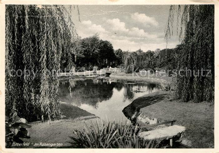 Bitterfeld Rosengarten Teich Weiden