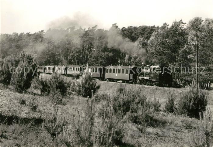Lokomotive Schmalspurbahn Putbus-Goehren Garftitz Sellin