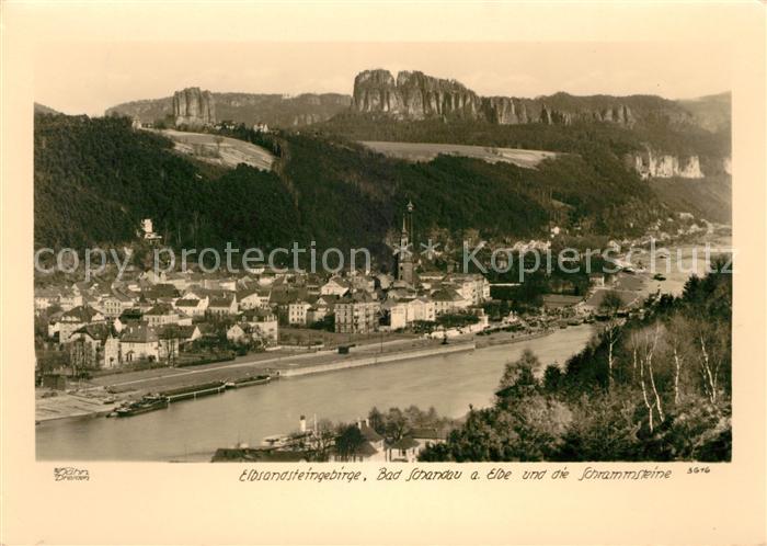 Foto Hahn Nr. 3616 Elbsandsteingebirge Bad Schandau S