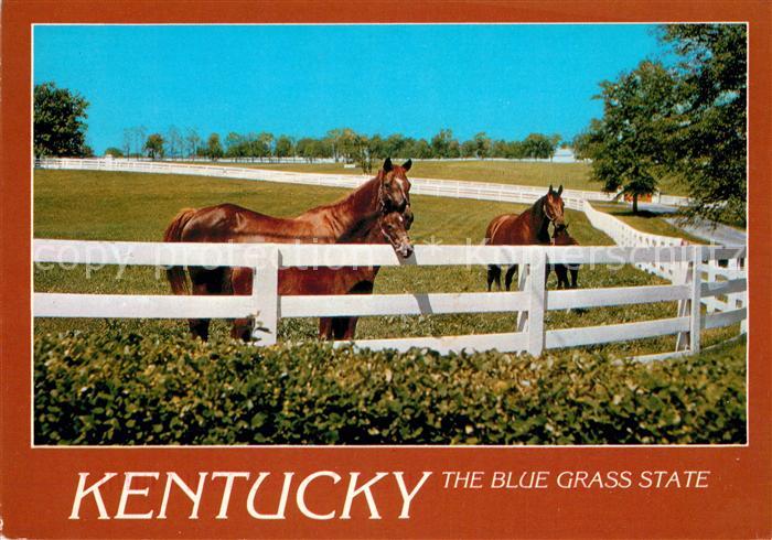 Pferde Kentucky Blue Grass Horse Farms