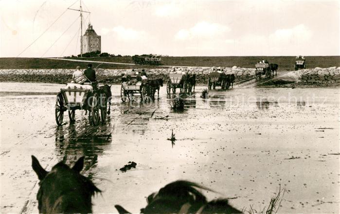 Neuwerk Cuxhaven Nordseebad Wattwagen Sahlenburg