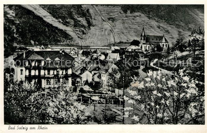 Bad Salzig Park-Hotel