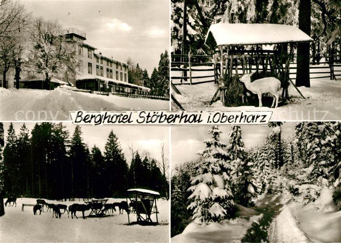 Wieda Berghotel SToeberhai