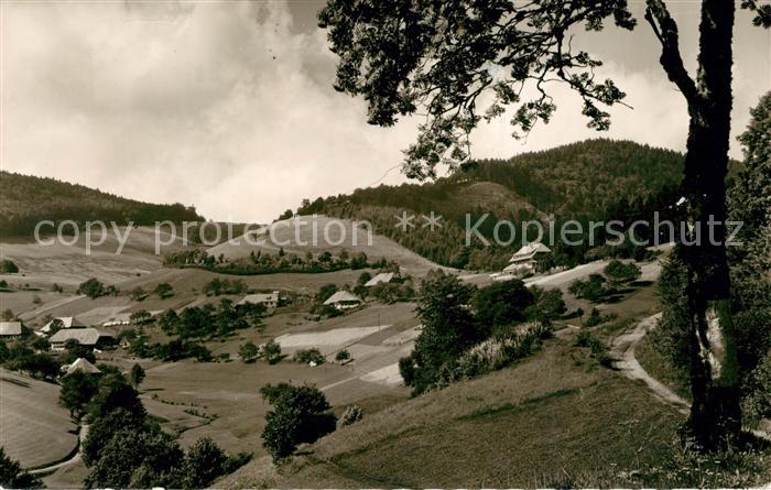 Schoenau Schwarzwald Landschaftspanorama mit Gasthaus Pension Haldenhof