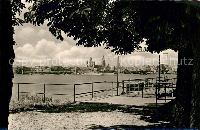 Mainz Rhein Rheinpartie von Kastell aus