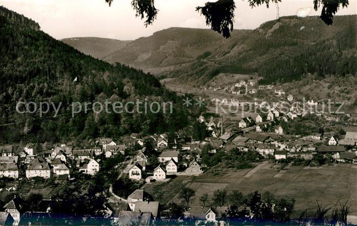 Calmbach Enz Panorama Blick vom Hengstberg Luftkurort Schwarzwald