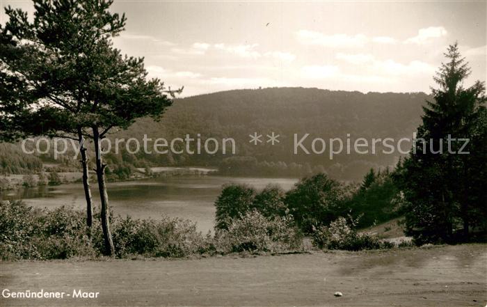 Gemuendener Maar Daun Vulkaneifel Rheinland-Pfalz Landschaftspanorama
