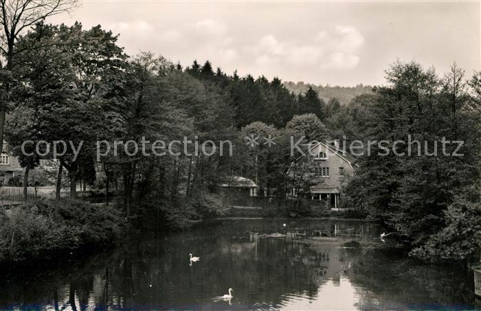 Bielstein Schwanenteich Luftkurort