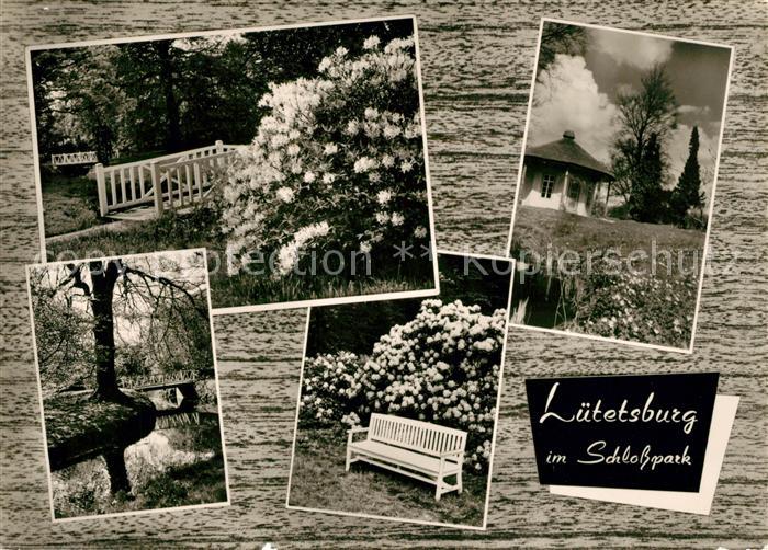 Luetetsburg Im Schlosspark