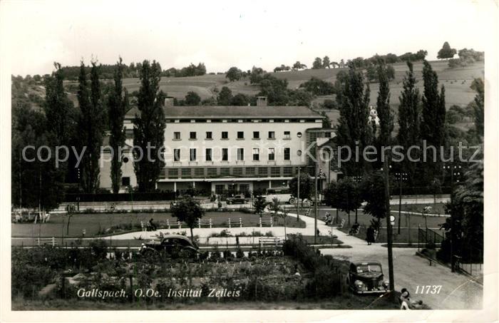 Gallspach Institut Zeileis